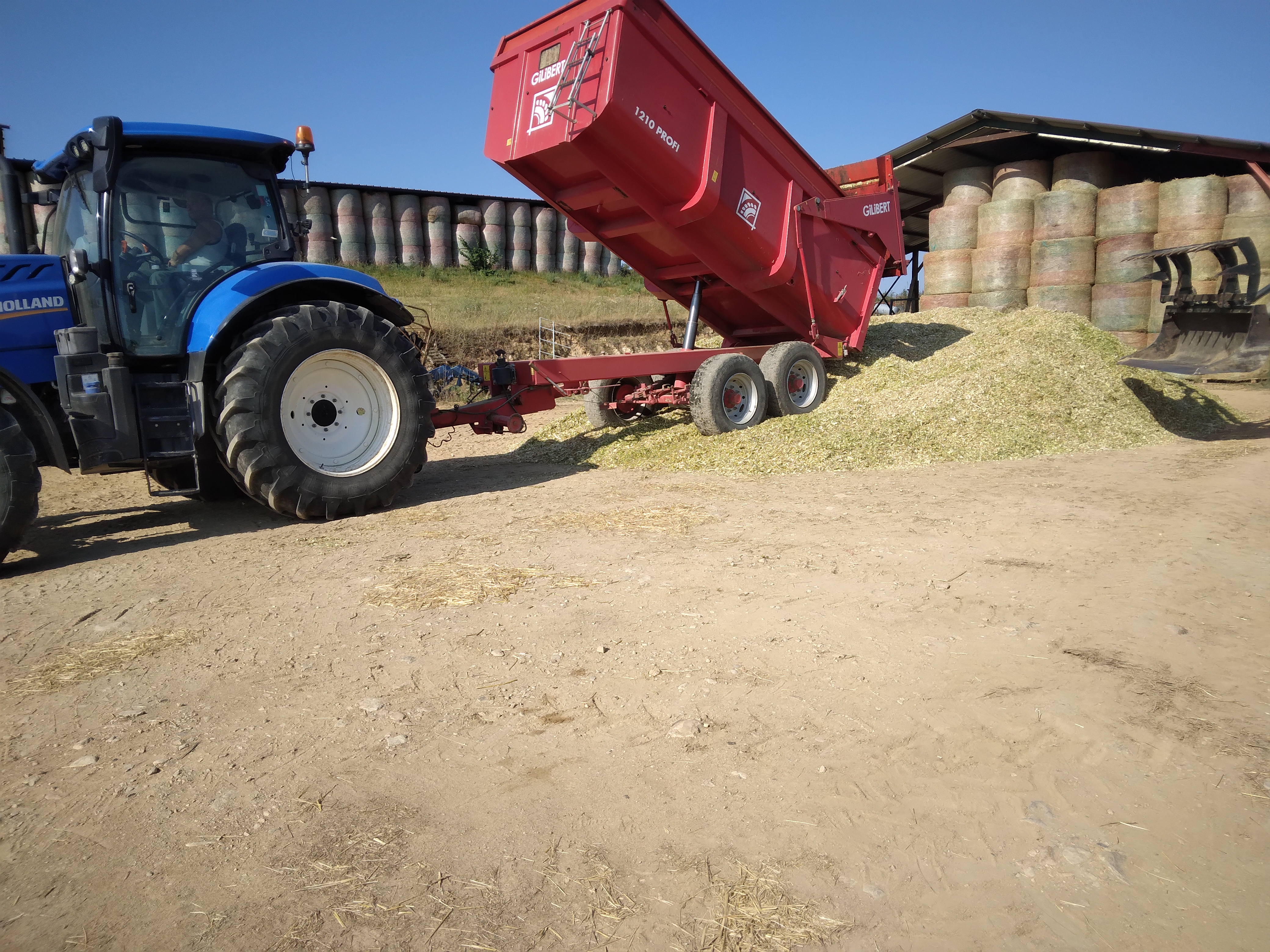Ensilage Maïs 2022